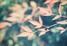 币安入选 CNBC 2025 年全球顶尖金融科技公司榜单